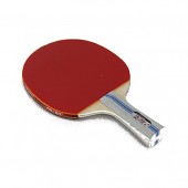 Table Tennis Tennis Rackets Durable Indoor / Outdo...
